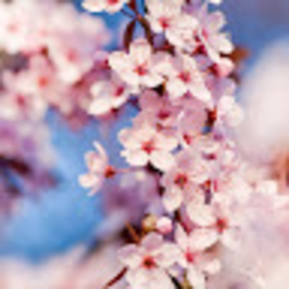 Meet your Posher, Hailey